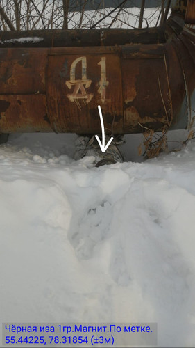 IMG 20250310 WA2252.jpg