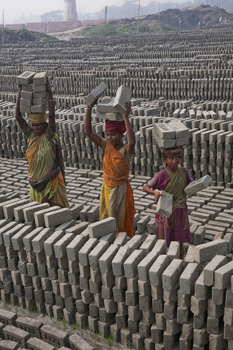 image search 1741673308877.jpg