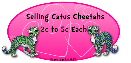 5c cheetahs.png