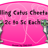 5c cheetahs