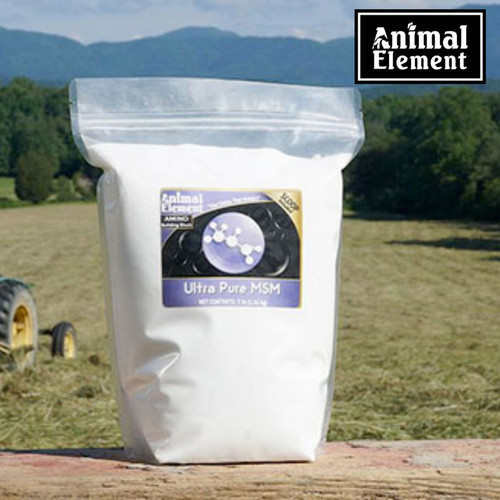 Enhance Joint Health with MSM for Horses Supplement.jpg