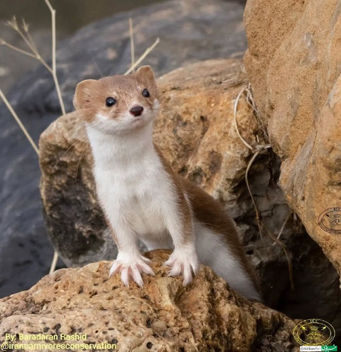 iZDV8DEV6C9vfjbMlH3 bc TcdxVCPfsnyXzM9SGzZuH1Y99Iake425he3VfaSOQRR9FxrdjDnWgS1w3eWFeRxqVIaH4cOAsgxqq.jpg