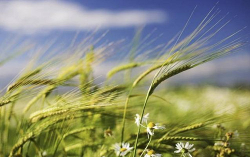 M7rzkmwC1hQj9 IVdCcPKST8mpAYJbQmH8E7P9uU JOfjKE7mvawho SHVbmelOSz2IkZMD 52CQbogEbjfBwgD60Ww0hhY GiVG.jpg