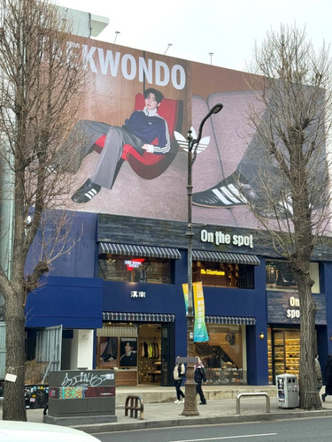 汉南洞的阿迪达斯成训大地广 1 🐣🍙🐈 来自小红书网页版.jpg