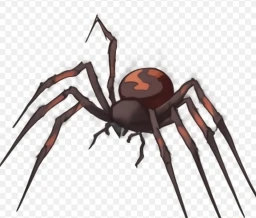 Canvas_Title_Overgrown_Spider_Canvas.com.png