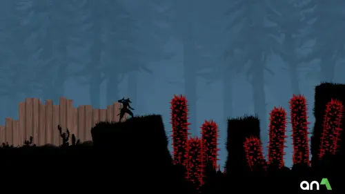 ninja arashi 2 898036.webp