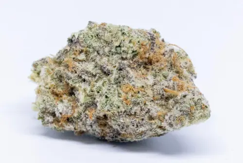 rainbow sherbet 11 1200x804.webp