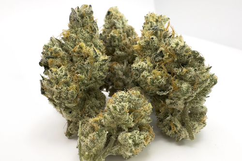 655d9095dcec058cb2b460e7 Single Source GMO Flower Hero Image.png