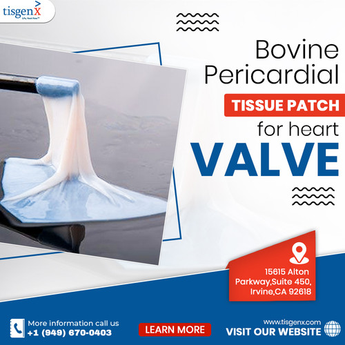 Bovine Pericardial Tissue Patch for heart valve.jpg