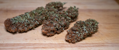 Big Bud XXL 194g.jpg