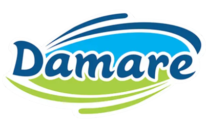 Logo Damare.png