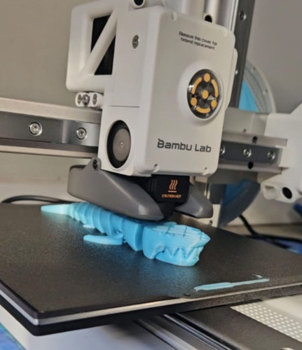 IMG 20250311 WA0023.jpg