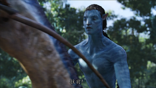 Avatar.Extended.Collectors.Edition.2010.BluRay.2Audios.x264.MiniBD1080p CMCT 20250311 061754.560.png