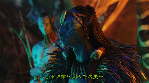 Avatar.Extended.Collectors.Edition.2010.BluRay.2Audios.x264.MiniBD1080p CMCT 20250311 061747.751.png