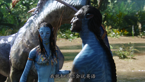 Avatar.Extended.Collectors.Edition.2010.BluRay.2Audios.x264.MiniBD1080p CMCT 20250311 061742.904.png