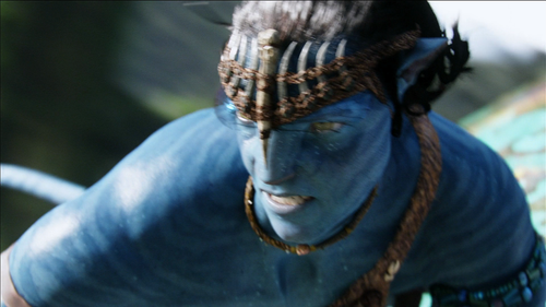 Avatar.Extended.Collectors.Edition.2010.BluRay.2Audios.x264.MiniBD1080p CMCT 20250311 061735.088.png