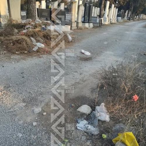 480292675 681543027558048 7752045760884101961 n.jpg?stp=dst jpg s600x600 tt6& nc cat=106&ccb=1 7& nc.jpg