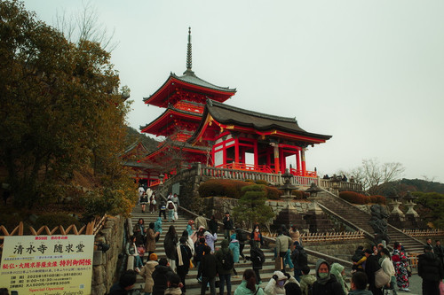 384FBE1B F62B 4D5E 88A8 46B7AC632135 1 105 c.jpg