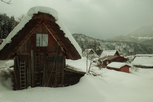 C6825EFC 3322 4490 8C0E CD4A642A6A66 1 105 c.jpg