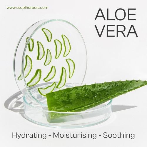 SSCPL Herbals Aloe Vera Detan Gel - Tan Removal & Skin Hydration.jpg