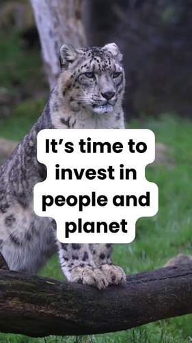 JtKI8dB855Vd O7P.jpg