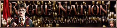 PotterZ Banner.jpg
