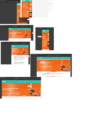 Brands pages Issue1.png