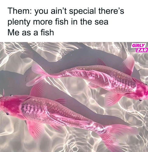girl world memes girlsprobzz9 664b41317a7ce 700.jpg