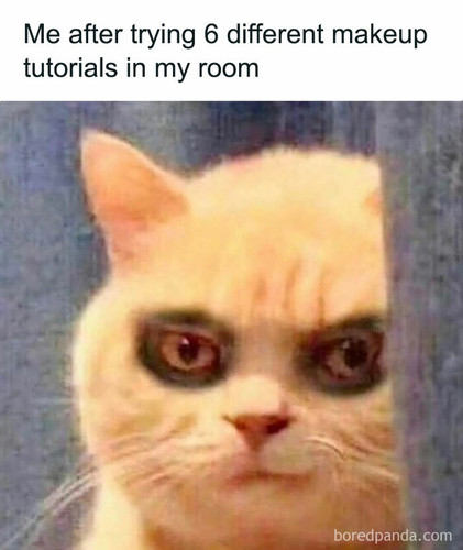 girl world memes girlsprobzz4 664b3b2569169 700.jpg