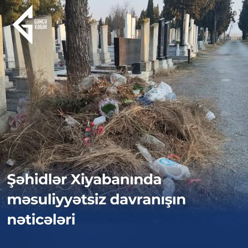 480801036 681543167558034 7440437568800272986 n.jpg?stp=dst jpg s600x600 tt6& nc cat=111&ccb=1 7& nc.jpg