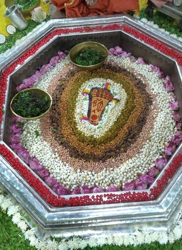 image search 1741754735887.jpg