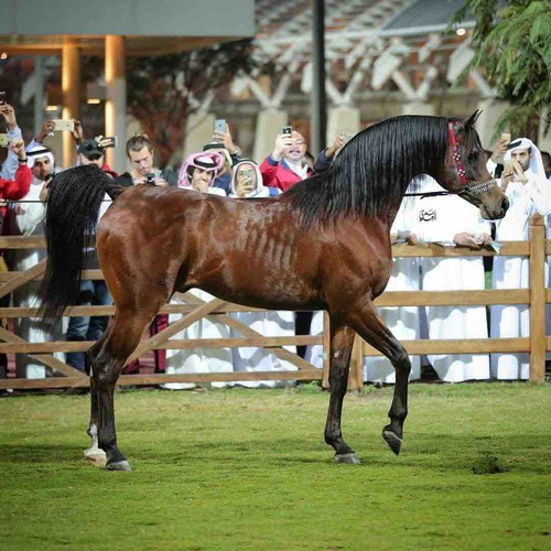 B22C1FC8 BDC9 4B9A B9F9 CC86A292A9E4.jpg