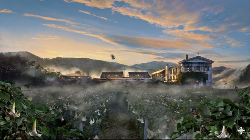 IMG 20250311 122940 562.jpg