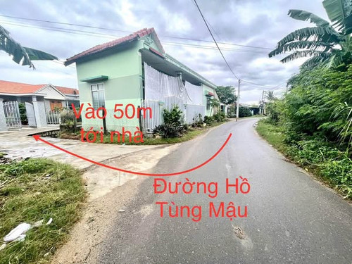 483600070 1177650730555716 4618780653273284520 n.jpg