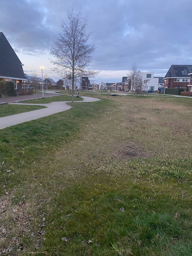 park.jpg