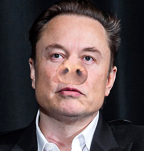 Muskpig.png