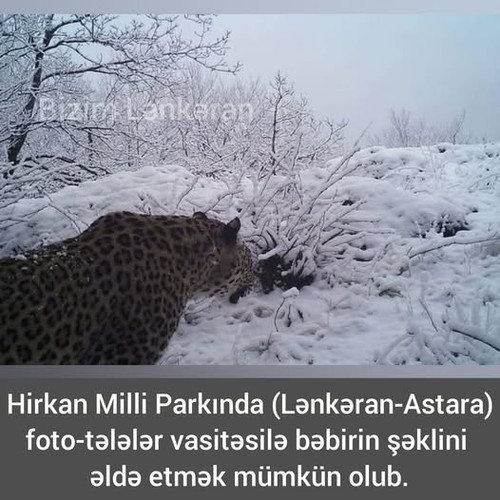 480836547 974848584835809 1669924239357646866 n.jpg?stp=dst jpg p526x296 tt6& nc cat=102&ccb=1 7& nc.jpg