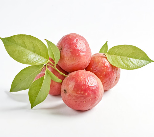 A close up of red apples with green leaves on a white background. The apples are shiny and look fres.jpg