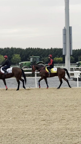 r8k Usd0x7mNyJzf.jpg