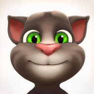 1741434925 talking tom cat.png