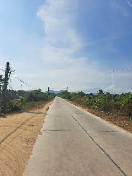 483586468 122143813574556963 3908000415418245516 n.jpg