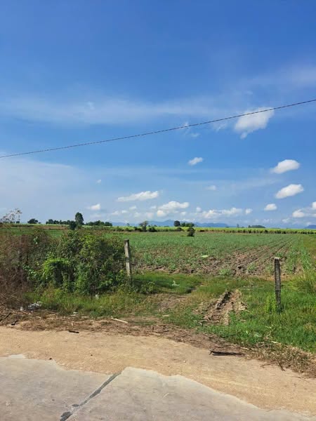 483066446 122143813532556963 4175307632028254266 n.jpg