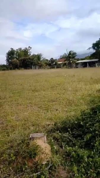 483598056 3856889311194436 3917720980431687465 n.jpg