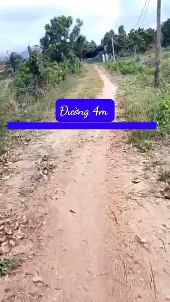 482277452 3856889401194427 7143185078377669404 n.jpg