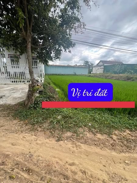 483744502 3857273707822663 5354623819649531624 n.jpg