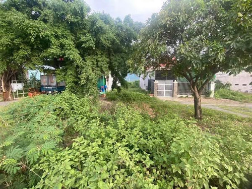 483488551 4199712310262928 1593361207656776843 n.jpg