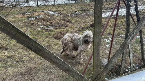 1bq Q0aRxnvSzWdY.jpg