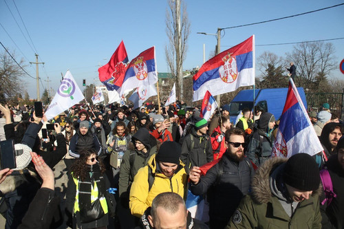 62761d20 e86a 11ef a819 277e390a7a08.jpg