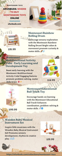 Ofunbuds Where to Buy Montessori Toys Online.jpg