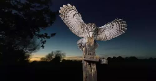 17354386765673349359?url=https%3A%2F%2Fstatic.cdnsb.net%2Fqaynar s3%2F2025 03%2F3efe06da1b214d85dca1.jpg